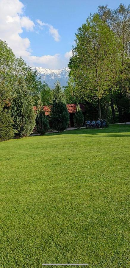 Garden Retreat (Adults Only) Hotel Bran  Luaran gambar